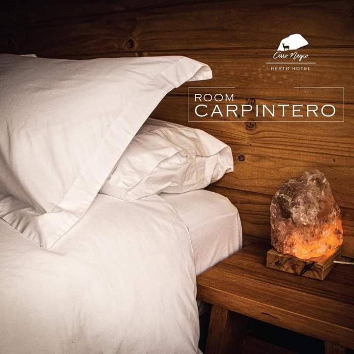Hotel Cerro Negro Coyhaique Εξωτερικό φωτογραφία